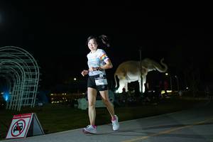 BIB: 
                            <button type="button" onclick="openModal(26172260)" class="btn btn-primary btn-sm float-right btn-popup" data-toggle="modal" data-target=".modal-high-quality">
                        <i class="fas fa-shopping-cart"></i> Add to Cart
                    </button>
                                            <button type="button" onclick="isThisMe(26172260, true)" class="btn btn-success btn-sm float-right btn-popup btn-isme hidden" data-toggle="tooltip" data-placement="bottom" title="นี่คือรูปของคุณใช่ไหม คลิกที่นี่เพื่อเอาเข้าอัลบั้ม">
                        <i class="fas fa-plus"></i> Add to album
                    </button>
                    <button type="button" onclick="isThisMe(26172260, false)" class="btn btn-warning btn-sm float-right btn-popup btn-isnotme hidden">
                        <i class="fas fa-ban"></i> Remove from album
                    </button>