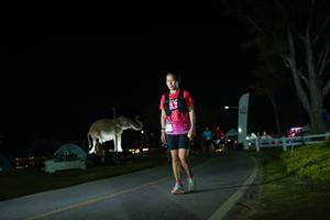 BIB: 
                            <button type="button" onclick="openModal(26171975)" class="btn btn-primary btn-sm float-right btn-popup" data-toggle="modal" data-target=".modal-high-quality">
                        <i class="fas fa-shopping-cart"></i> Add to Cart
                    </button>
                                            <button type="button" onclick="isThisMe(26171975, true)" class="btn btn-success btn-sm float-right btn-popup btn-isme hidden" data-toggle="tooltip" data-placement="bottom" title="นี่คือรูปของคุณใช่ไหม คลิกที่นี่เพื่อเอาเข้าอัลบั้ม">
                        <i class="fas fa-plus"></i> Add to album
                    </button>
                    <button type="button" onclick="isThisMe(26171975, false)" class="btn btn-warning btn-sm float-right btn-popup btn-isnotme hidden">
                        <i class="fas fa-ban"></i> Remove from album
                    </button>