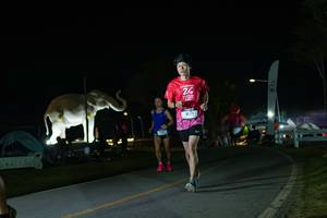 BIB: 
                            <button type="button" onclick="openModal(26172277)" class="btn btn-primary btn-sm float-right btn-popup" data-toggle="modal" data-target=".modal-high-quality">
                        <i class="fas fa-shopping-cart"></i> Add to Cart
                    </button>
                                            <button type="button" onclick="isThisMe(26172277, true)" class="btn btn-success btn-sm float-right btn-popup btn-isme hidden" data-toggle="tooltip" data-placement="bottom" title="นี่คือรูปของคุณใช่ไหม คลิกที่นี่เพื่อเอาเข้าอัลบั้ม">
                        <i class="fas fa-plus"></i> Add to album
                    </button>
                    <button type="button" onclick="isThisMe(26172277, false)" class="btn btn-warning btn-sm float-right btn-popup btn-isnotme hidden">
                        <i class="fas fa-ban"></i> Remove from album
                    </button>