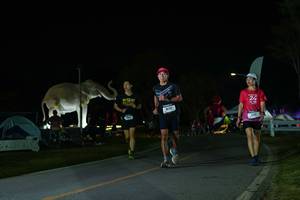 BIB: 
                            <button type="button" onclick="openModal(26172108)" class="btn btn-primary btn-sm float-right btn-popup" data-toggle="modal" data-target=".modal-high-quality">
                        <i class="fas fa-shopping-cart"></i> Add to Cart
                    </button>
                                            <button type="button" onclick="isThisMe(26172108, true)" class="btn btn-success btn-sm float-right btn-popup btn-isme hidden" data-toggle="tooltip" data-placement="bottom" title="นี่คือรูปของคุณใช่ไหม คลิกที่นี่เพื่อเอาเข้าอัลบั้ม">
                        <i class="fas fa-plus"></i> Add to album
                    </button>
                    <button type="button" onclick="isThisMe(26172108, false)" class="btn btn-warning btn-sm float-right btn-popup btn-isnotme hidden">
                        <i class="fas fa-ban"></i> Remove from album
                    </button>