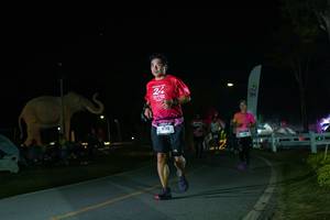 BIB: 
                            <button type="button" onclick="openModal(26172511)" class="btn btn-primary btn-sm float-right btn-popup" data-toggle="modal" data-target=".modal-high-quality">
                        <i class="fas fa-shopping-cart"></i> Add to Cart
                    </button>
                                            <button type="button" onclick="isThisMe(26172511, true)" class="btn btn-success btn-sm float-right btn-popup btn-isme hidden" data-toggle="tooltip" data-placement="bottom" title="นี่คือรูปของคุณใช่ไหม คลิกที่นี่เพื่อเอาเข้าอัลบั้ม">
                        <i class="fas fa-plus"></i> Add to album
                    </button>
                    <button type="button" onclick="isThisMe(26172511, false)" class="btn btn-warning btn-sm float-right btn-popup btn-isnotme hidden">
                        <i class="fas fa-ban"></i> Remove from album
                    </button>