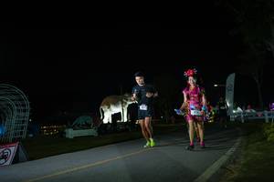 BIB: 
                            <button type="button" onclick="openModal(26171835)" class="btn btn-primary btn-sm float-right btn-popup" data-toggle="modal" data-target=".modal-high-quality">
                        <i class="fas fa-shopping-cart"></i> Add to Cart
                    </button>
                                            <button type="button" onclick="isThisMe(26171835, true)" class="btn btn-success btn-sm float-right btn-popup btn-isme hidden" data-toggle="tooltip" data-placement="bottom" title="นี่คือรูปของคุณใช่ไหม คลิกที่นี่เพื่อเอาเข้าอัลบั้ม">
                        <i class="fas fa-plus"></i> Add to album
                    </button>
                    <button type="button" onclick="isThisMe(26171835, false)" class="btn btn-warning btn-sm float-right btn-popup btn-isnotme hidden">
                        <i class="fas fa-ban"></i> Remove from album
                    </button>