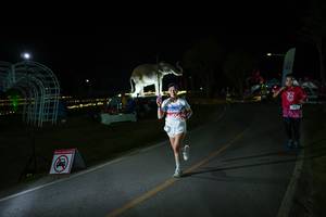 BIB: 
                            <button type="button" onclick="openModal(26171655)" class="btn btn-primary btn-sm float-right btn-popup" data-toggle="modal" data-target=".modal-high-quality">
                        <i class="fas fa-shopping-cart"></i> Add to Cart
                    </button>
                                            <button type="button" onclick="isThisMe(26171655, true)" class="btn btn-success btn-sm float-right btn-popup btn-isme hidden" data-toggle="tooltip" data-placement="bottom" title="นี่คือรูปของคุณใช่ไหม คลิกที่นี่เพื่อเอาเข้าอัลบั้ม">
                        <i class="fas fa-plus"></i> Add to album
                    </button>
                    <button type="button" onclick="isThisMe(26171655, false)" class="btn btn-warning btn-sm float-right btn-popup btn-isnotme hidden">
                        <i class="fas fa-ban"></i> Remove from album
                    </button>