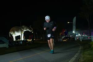 BIB: 
                            <button type="button" onclick="openModal(26172352)" class="btn btn-primary btn-sm float-right btn-popup" data-toggle="modal" data-target=".modal-high-quality">
                        <i class="fas fa-shopping-cart"></i> Add to Cart
                    </button>
                                            <button type="button" onclick="isThisMe(26172352, true)" class="btn btn-success btn-sm float-right btn-popup btn-isme hidden" data-toggle="tooltip" data-placement="bottom" title="นี่คือรูปของคุณใช่ไหม คลิกที่นี่เพื่อเอาเข้าอัลบั้ม">
                        <i class="fas fa-plus"></i> Add to album
                    </button>
                    <button type="button" onclick="isThisMe(26172352, false)" class="btn btn-warning btn-sm float-right btn-popup btn-isnotme hidden">
                        <i class="fas fa-ban"></i> Remove from album
                    </button>