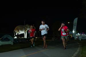 BIB: 
                            <button type="button" onclick="openModal(26172093)" class="btn btn-primary btn-sm float-right btn-popup" data-toggle="modal" data-target=".modal-high-quality">
                        <i class="fas fa-shopping-cart"></i> Add to Cart
                    </button>
                                            <button type="button" onclick="isThisMe(26172093, true)" class="btn btn-success btn-sm float-right btn-popup btn-isme hidden" data-toggle="tooltip" data-placement="bottom" title="นี่คือรูปของคุณใช่ไหม คลิกที่นี่เพื่อเอาเข้าอัลบั้ม">
                        <i class="fas fa-plus"></i> Add to album
                    </button>
                    <button type="button" onclick="isThisMe(26172093, false)" class="btn btn-warning btn-sm float-right btn-popup btn-isnotme hidden">
                        <i class="fas fa-ban"></i> Remove from album
                    </button>