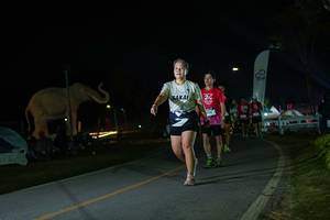 BIB: 
                            <button type="button" onclick="openModal(26172727)" class="btn btn-primary btn-sm float-right btn-popup" data-toggle="modal" data-target=".modal-high-quality">
                        <i class="fas fa-shopping-cart"></i> Add to Cart
                    </button>
                                            <button type="button" onclick="isThisMe(26172727, true)" class="btn btn-success btn-sm float-right btn-popup btn-isme hidden" data-toggle="tooltip" data-placement="bottom" title="นี่คือรูปของคุณใช่ไหม คลิกที่นี่เพื่อเอาเข้าอัลบั้ม">
                        <i class="fas fa-plus"></i> Add to album
                    </button>
                    <button type="button" onclick="isThisMe(26172727, false)" class="btn btn-warning btn-sm float-right btn-popup btn-isnotme hidden">
                        <i class="fas fa-ban"></i> Remove from album
                    </button>