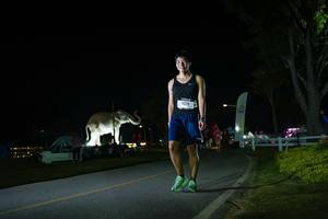 BIB: 
                            <button type="button" onclick="openModal(26171850)" class="btn btn-primary btn-sm float-right btn-popup" data-toggle="modal" data-target=".modal-high-quality">
                        <i class="fas fa-shopping-cart"></i> Add to Cart
                    </button>
                                            <button type="button" onclick="isThisMe(26171850, true)" class="btn btn-success btn-sm float-right btn-popup btn-isme hidden" data-toggle="tooltip" data-placement="bottom" title="นี่คือรูปของคุณใช่ไหม คลิกที่นี่เพื่อเอาเข้าอัลบั้ม">
                        <i class="fas fa-plus"></i> Add to album
                    </button>
                    <button type="button" onclick="isThisMe(26171850, false)" class="btn btn-warning btn-sm float-right btn-popup btn-isnotme hidden">
                        <i class="fas fa-ban"></i> Remove from album
                    </button>