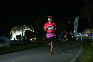 BIB: 
                            <button type="button" onclick="openModal(26172150)" class="btn btn-primary btn-sm float-right btn-popup" data-toggle="modal" data-target=".modal-high-quality">
                        <i class="fas fa-shopping-cart"></i> Add to Cart
                    </button>
                                            <button type="button" onclick="isThisMe(26172150, true)" class="btn btn-success btn-sm float-right btn-popup btn-isme hidden" data-toggle="tooltip" data-placement="bottom" title="นี่คือรูปของคุณใช่ไหม คลิกที่นี่เพื่อเอาเข้าอัลบั้ม">
                        <i class="fas fa-plus"></i> Add to album
                    </button>
                    <button type="button" onclick="isThisMe(26172150, false)" class="btn btn-warning btn-sm float-right btn-popup btn-isnotme hidden">
                        <i class="fas fa-ban"></i> Remove from album
                    </button>