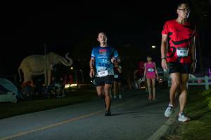 BIB: 
                            <button type="button" onclick="openModal(26172782)" class="btn btn-primary btn-sm float-right btn-popup" data-toggle="modal" data-target=".modal-high-quality">
                        <i class="fas fa-shopping-cart"></i> Add to Cart
                    </button>
                                            <button type="button" onclick="isThisMe(26172782, true)" class="btn btn-success btn-sm float-right btn-popup btn-isme hidden" data-toggle="tooltip" data-placement="bottom" title="นี่คือรูปของคุณใช่ไหม คลิกที่นี่เพื่อเอาเข้าอัลบั้ม">
                        <i class="fas fa-plus"></i> Add to album
                    </button>
                    <button type="button" onclick="isThisMe(26172782, false)" class="btn btn-warning btn-sm float-right btn-popup btn-isnotme hidden">
                        <i class="fas fa-ban"></i> Remove from album
                    </button>