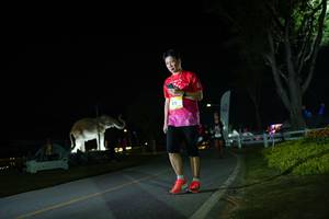 BIB: 
                            <button type="button" onclick="openModal(26172035)" class="btn btn-primary btn-sm float-right btn-popup" data-toggle="modal" data-target=".modal-high-quality">
                        <i class="fas fa-shopping-cart"></i> Add to Cart
                    </button>
                                            <button type="button" onclick="isThisMe(26172035, true)" class="btn btn-success btn-sm float-right btn-popup btn-isme hidden" data-toggle="tooltip" data-placement="bottom" title="นี่คือรูปของคุณใช่ไหม คลิกที่นี่เพื่อเอาเข้าอัลบั้ม">
                        <i class="fas fa-plus"></i> Add to album
                    </button>
                    <button type="button" onclick="isThisMe(26172035, false)" class="btn btn-warning btn-sm float-right btn-popup btn-isnotme hidden">
                        <i class="fas fa-ban"></i> Remove from album
                    </button>