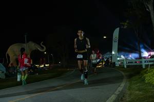 BIB: 
                            <button type="button" onclick="openModal(26172415)" class="btn btn-primary btn-sm float-right btn-popup" data-toggle="modal" data-target=".modal-high-quality">
                        <i class="fas fa-shopping-cart"></i> Add to Cart
                    </button>
                                            <button type="button" onclick="isThisMe(26172415, true)" class="btn btn-success btn-sm float-right btn-popup btn-isme hidden" data-toggle="tooltip" data-placement="bottom" title="นี่คือรูปของคุณใช่ไหม คลิกที่นี่เพื่อเอาเข้าอัลบั้ม">
                        <i class="fas fa-plus"></i> Add to album
                    </button>
                    <button type="button" onclick="isThisMe(26172415, false)" class="btn btn-warning btn-sm float-right btn-popup btn-isnotme hidden">
                        <i class="fas fa-ban"></i> Remove from album
                    </button>