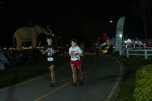 BIB: 
                            <button type="button" onclick="openModal(26173043)" class="btn btn-primary btn-sm float-right btn-popup" data-toggle="modal" data-target=".modal-high-quality">
                        <i class="fas fa-shopping-cart"></i> Add to Cart
                    </button>
                                            <button type="button" onclick="isThisMe(26173043, true)" class="btn btn-success btn-sm float-right btn-popup btn-isme hidden" data-toggle="tooltip" data-placement="bottom" title="นี่คือรูปของคุณใช่ไหม คลิกที่นี่เพื่อเอาเข้าอัลบั้ม">
                        <i class="fas fa-plus"></i> Add to album
                    </button>
                    <button type="button" onclick="isThisMe(26173043, false)" class="btn btn-warning btn-sm float-right btn-popup btn-isnotme hidden">
                        <i class="fas fa-ban"></i> Remove from album
                    </button>