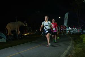 BIB: 
                            <button type="button" onclick="openModal(26172729)" class="btn btn-primary btn-sm float-right btn-popup" data-toggle="modal" data-target=".modal-high-quality">
                        <i class="fas fa-shopping-cart"></i> Add to Cart
                    </button>
                                            <button type="button" onclick="isThisMe(26172729, true)" class="btn btn-success btn-sm float-right btn-popup btn-isme hidden" data-toggle="tooltip" data-placement="bottom" title="นี่คือรูปของคุณใช่ไหม คลิกที่นี่เพื่อเอาเข้าอัลบั้ม">
                        <i class="fas fa-plus"></i> Add to album
                    </button>
                    <button type="button" onclick="isThisMe(26172729, false)" class="btn btn-warning btn-sm float-right btn-popup btn-isnotme hidden">
                        <i class="fas fa-ban"></i> Remove from album
                    </button>