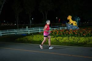 BIB: 
                            <button type="button" onclick="openModal(26170631)" class="btn btn-primary btn-sm float-right btn-popup" data-toggle="modal" data-target=".modal-high-quality">
                        <i class="fas fa-shopping-cart"></i> Add to Cart
                    </button>
                                            <button type="button" onclick="isThisMe(26170631, true)" class="btn btn-success btn-sm float-right btn-popup btn-isme hidden" data-toggle="tooltip" data-placement="bottom" title="นี่คือรูปของคุณใช่ไหม คลิกที่นี่เพื่อเอาเข้าอัลบั้ม">
                        <i class="fas fa-plus"></i> Add to album
                    </button>
                    <button type="button" onclick="isThisMe(26170631, false)" class="btn btn-warning btn-sm float-right btn-popup btn-isnotme hidden">
                        <i class="fas fa-ban"></i> Remove from album
                    </button>