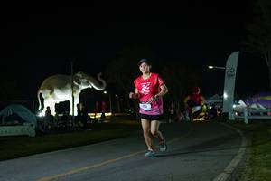 BIB: 
                            <button type="button" onclick="openModal(26172183)" class="btn btn-primary btn-sm float-right btn-popup" data-toggle="modal" data-target=".modal-high-quality">
                        <i class="fas fa-shopping-cart"></i> Add to Cart
                    </button>
                                            <button type="button" onclick="isThisMe(26172183, true)" class="btn btn-success btn-sm float-right btn-popup btn-isme hidden" data-toggle="tooltip" data-placement="bottom" title="นี่คือรูปของคุณใช่ไหม คลิกที่นี่เพื่อเอาเข้าอัลบั้ม">
                        <i class="fas fa-plus"></i> Add to album
                    </button>
                    <button type="button" onclick="isThisMe(26172183, false)" class="btn btn-warning btn-sm float-right btn-popup btn-isnotme hidden">
                        <i class="fas fa-ban"></i> Remove from album
                    </button>