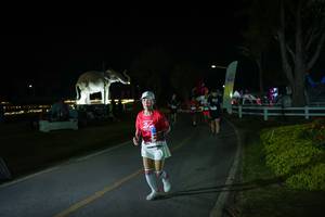 BIB: 
                            <button type="button" onclick="openModal(26171801)" class="btn btn-primary btn-sm float-right btn-popup" data-toggle="modal" data-target=".modal-high-quality">
                        <i class="fas fa-shopping-cart"></i> Add to Cart
                    </button>
                                            <button type="button" onclick="isThisMe(26171801, true)" class="btn btn-success btn-sm float-right btn-popup btn-isme hidden" data-toggle="tooltip" data-placement="bottom" title="นี่คือรูปของคุณใช่ไหม คลิกที่นี่เพื่อเอาเข้าอัลบั้ม">
                        <i class="fas fa-plus"></i> Add to album
                    </button>
                    <button type="button" onclick="isThisMe(26171801, false)" class="btn btn-warning btn-sm float-right btn-popup btn-isnotme hidden">
                        <i class="fas fa-ban"></i> Remove from album
                    </button>