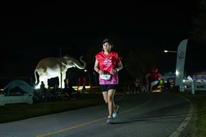 BIB: 
                            <button type="button" onclick="openModal(26172185)" class="btn btn-primary btn-sm float-right btn-popup" data-toggle="modal" data-target=".modal-high-quality">
                        <i class="fas fa-shopping-cart"></i> Add to Cart
                    </button>
                                            <button type="button" onclick="isThisMe(26172185, true)" class="btn btn-success btn-sm float-right btn-popup btn-isme hidden" data-toggle="tooltip" data-placement="bottom" title="นี่คือรูปของคุณใช่ไหม คลิกที่นี่เพื่อเอาเข้าอัลบั้ม">
                        <i class="fas fa-plus"></i> Add to album
                    </button>
                    <button type="button" onclick="isThisMe(26172185, false)" class="btn btn-warning btn-sm float-right btn-popup btn-isnotme hidden">
                        <i class="fas fa-ban"></i> Remove from album
                    </button>