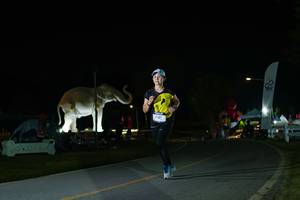 BIB: 
                            <button type="button" onclick="openModal(26172071)" class="btn btn-primary btn-sm float-right btn-popup" data-toggle="modal" data-target=".modal-high-quality">
                        <i class="fas fa-shopping-cart"></i> Add to Cart
                    </button>
                                            <button type="button" onclick="isThisMe(26172071, true)" class="btn btn-success btn-sm float-right btn-popup btn-isme hidden" data-toggle="tooltip" data-placement="bottom" title="นี่คือรูปของคุณใช่ไหม คลิกที่นี่เพื่อเอาเข้าอัลบั้ม">
                        <i class="fas fa-plus"></i> Add to album
                    </button>
                    <button type="button" onclick="isThisMe(26172071, false)" class="btn btn-warning btn-sm float-right btn-popup btn-isnotme hidden">
                        <i class="fas fa-ban"></i> Remove from album
                    </button>