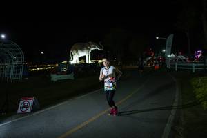 BIB: 
                            <button type="button" onclick="openModal(26171670)" class="btn btn-primary btn-sm float-right btn-popup" data-toggle="modal" data-target=".modal-high-quality">
                        <i class="fas fa-shopping-cart"></i> Add to Cart
                    </button>
                                            <button type="button" onclick="isThisMe(26171670, true)" class="btn btn-success btn-sm float-right btn-popup btn-isme hidden" data-toggle="tooltip" data-placement="bottom" title="นี่คือรูปของคุณใช่ไหม คลิกที่นี่เพื่อเอาเข้าอัลบั้ม">
                        <i class="fas fa-plus"></i> Add to album
                    </button>
                    <button type="button" onclick="isThisMe(26171670, false)" class="btn btn-warning btn-sm float-right btn-popup btn-isnotme hidden">
                        <i class="fas fa-ban"></i> Remove from album
                    </button>