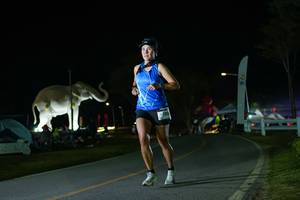 BIB: 
                            <button type="button" onclick="openModal(26172297)" class="btn btn-primary btn-sm float-right btn-popup" data-toggle="modal" data-target=".modal-high-quality">
                        <i class="fas fa-shopping-cart"></i> Add to Cart
                    </button>
                                            <button type="button" onclick="isThisMe(26172297, true)" class="btn btn-success btn-sm float-right btn-popup btn-isme hidden" data-toggle="tooltip" data-placement="bottom" title="นี่คือรูปของคุณใช่ไหม คลิกที่นี่เพื่อเอาเข้าอัลบั้ม">
                        <i class="fas fa-plus"></i> Add to album
                    </button>
                    <button type="button" onclick="isThisMe(26172297, false)" class="btn btn-warning btn-sm float-right btn-popup btn-isnotme hidden">
                        <i class="fas fa-ban"></i> Remove from album
                    </button>