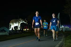 BIB: 
                            <button type="button" onclick="openModal(26172214)" class="btn btn-primary btn-sm float-right btn-popup" data-toggle="modal" data-target=".modal-high-quality">
                        <i class="fas fa-shopping-cart"></i> Add to Cart
                    </button>
                                            <button type="button" onclick="isThisMe(26172214, true)" class="btn btn-success btn-sm float-right btn-popup btn-isme hidden" data-toggle="tooltip" data-placement="bottom" title="นี่คือรูปของคุณใช่ไหม คลิกที่นี่เพื่อเอาเข้าอัลบั้ม">
                        <i class="fas fa-plus"></i> Add to album
                    </button>
                    <button type="button" onclick="isThisMe(26172214, false)" class="btn btn-warning btn-sm float-right btn-popup btn-isnotme hidden">
                        <i class="fas fa-ban"></i> Remove from album
                    </button>