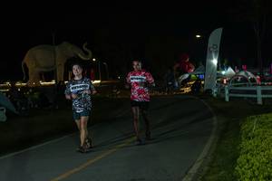 BIB: 
                            <button type="button" onclick="openModal(26173050)" class="btn btn-primary btn-sm float-right btn-popup" data-toggle="modal" data-target=".modal-high-quality">
                        <i class="fas fa-shopping-cart"></i> Add to Cart
                    </button>
                                            <button type="button" onclick="isThisMe(26173050, true)" class="btn btn-success btn-sm float-right btn-popup btn-isme hidden" data-toggle="tooltip" data-placement="bottom" title="นี่คือรูปของคุณใช่ไหม คลิกที่นี่เพื่อเอาเข้าอัลบั้ม">
                        <i class="fas fa-plus"></i> Add to album
                    </button>
                    <button type="button" onclick="isThisMe(26173050, false)" class="btn btn-warning btn-sm float-right btn-popup btn-isnotme hidden">
                        <i class="fas fa-ban"></i> Remove from album
                    </button>