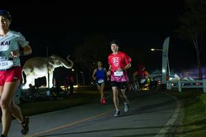 BIB: 
                            <button type="button" onclick="openModal(26172275)" class="btn btn-primary btn-sm float-right btn-popup" data-toggle="modal" data-target=".modal-high-quality">
                        <i class="fas fa-shopping-cart"></i> Add to Cart
                    </button>
                                            <button type="button" onclick="isThisMe(26172275, true)" class="btn btn-success btn-sm float-right btn-popup btn-isme hidden" data-toggle="tooltip" data-placement="bottom" title="นี่คือรูปของคุณใช่ไหม คลิกที่นี่เพื่อเอาเข้าอัลบั้ม">
                        <i class="fas fa-plus"></i> Add to album
                    </button>
                    <button type="button" onclick="isThisMe(26172275, false)" class="btn btn-warning btn-sm float-right btn-popup btn-isnotme hidden">
                        <i class="fas fa-ban"></i> Remove from album
                    </button>