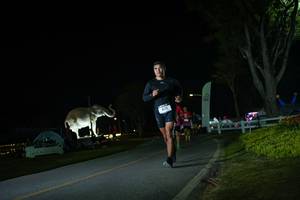 BIB: 
                            <button type="button" onclick="openModal(26171934)" class="btn btn-primary btn-sm float-right btn-popup" data-toggle="modal" data-target=".modal-high-quality">
                        <i class="fas fa-shopping-cart"></i> Add to Cart
                    </button>
                                            <button type="button" onclick="isThisMe(26171934, true)" class="btn btn-success btn-sm float-right btn-popup btn-isme hidden" data-toggle="tooltip" data-placement="bottom" title="นี่คือรูปของคุณใช่ไหม คลิกที่นี่เพื่อเอาเข้าอัลบั้ม">
                        <i class="fas fa-plus"></i> Add to album
                    </button>
                    <button type="button" onclick="isThisMe(26171934, false)" class="btn btn-warning btn-sm float-right btn-popup btn-isnotme hidden">
                        <i class="fas fa-ban"></i> Remove from album
                    </button>