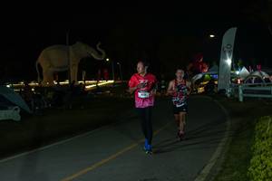 BIB: 
                            <button type="button" onclick="openModal(26173032)" class="btn btn-primary btn-sm float-right btn-popup" data-toggle="modal" data-target=".modal-high-quality">
                        <i class="fas fa-shopping-cart"></i> Add to Cart
                    </button>
                                            <button type="button" onclick="isThisMe(26173032, true)" class="btn btn-success btn-sm float-right btn-popup btn-isme hidden" data-toggle="tooltip" data-placement="bottom" title="นี่คือรูปของคุณใช่ไหม คลิกที่นี่เพื่อเอาเข้าอัลบั้ม">
                        <i class="fas fa-plus"></i> Add to album
                    </button>
                    <button type="button" onclick="isThisMe(26173032, false)" class="btn btn-warning btn-sm float-right btn-popup btn-isnotme hidden">
                        <i class="fas fa-ban"></i> Remove from album
                    </button>