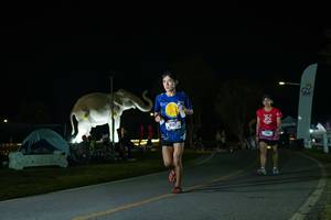 BIB: 
                            <button type="button" onclick="openModal(26172176)" class="btn btn-primary btn-sm float-right btn-popup" data-toggle="modal" data-target=".modal-high-quality">
                        <i class="fas fa-shopping-cart"></i> Add to Cart
                    </button>
                                            <button type="button" onclick="isThisMe(26172176, true)" class="btn btn-success btn-sm float-right btn-popup btn-isme hidden" data-toggle="tooltip" data-placement="bottom" title="นี่คือรูปของคุณใช่ไหม คลิกที่นี่เพื่อเอาเข้าอัลบั้ม">
                        <i class="fas fa-plus"></i> Add to album
                    </button>
                    <button type="button" onclick="isThisMe(26172176, false)" class="btn btn-warning btn-sm float-right btn-popup btn-isnotme hidden">
                        <i class="fas fa-ban"></i> Remove from album
                    </button>