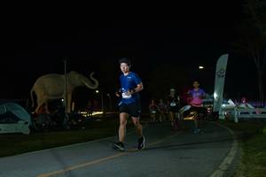 BIB: 
                            <button type="button" onclick="openModal(26172755)" class="btn btn-primary btn-sm float-right btn-popup" data-toggle="modal" data-target=".modal-high-quality">
                        <i class="fas fa-shopping-cart"></i> Add to Cart
                    </button>
                                            <button type="button" onclick="isThisMe(26172755, true)" class="btn btn-success btn-sm float-right btn-popup btn-isme hidden" data-toggle="tooltip" data-placement="bottom" title="นี่คือรูปของคุณใช่ไหม คลิกที่นี่เพื่อเอาเข้าอัลบั้ม">
                        <i class="fas fa-plus"></i> Add to album
                    </button>
                    <button type="button" onclick="isThisMe(26172755, false)" class="btn btn-warning btn-sm float-right btn-popup btn-isnotme hidden">
                        <i class="fas fa-ban"></i> Remove from album
                    </button>