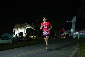 BIB: 
                            <button type="button" onclick="openModal(26172184)" class="btn btn-primary btn-sm float-right btn-popup" data-toggle="modal" data-target=".modal-high-quality">
                        <i class="fas fa-shopping-cart"></i> Add to Cart
                    </button>
                                            <button type="button" onclick="isThisMe(26172184, true)" class="btn btn-success btn-sm float-right btn-popup btn-isme hidden" data-toggle="tooltip" data-placement="bottom" title="นี่คือรูปของคุณใช่ไหม คลิกที่นี่เพื่อเอาเข้าอัลบั้ม">
                        <i class="fas fa-plus"></i> Add to album
                    </button>
                    <button type="button" onclick="isThisMe(26172184, false)" class="btn btn-warning btn-sm float-right btn-popup btn-isnotme hidden">
                        <i class="fas fa-ban"></i> Remove from album
                    </button>