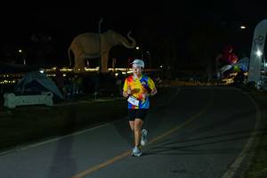 BIB: 
                            <button type="button" onclick="openModal(26173061)" class="btn btn-primary btn-sm float-right btn-popup" data-toggle="modal" data-target=".modal-high-quality">
                        <i class="fas fa-shopping-cart"></i> Add to Cart
                    </button>
                                            <button type="button" onclick="isThisMe(26173061, true)" class="btn btn-success btn-sm float-right btn-popup btn-isme hidden" data-toggle="tooltip" data-placement="bottom" title="นี่คือรูปของคุณใช่ไหม คลิกที่นี่เพื่อเอาเข้าอัลบั้ม">
                        <i class="fas fa-plus"></i> Add to album
                    </button>
                    <button type="button" onclick="isThisMe(26173061, false)" class="btn btn-warning btn-sm float-right btn-popup btn-isnotme hidden">
                        <i class="fas fa-ban"></i> Remove from album
                    </button>