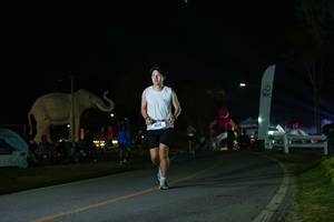 BIB: 
                            <button type="button" onclick="openModal(26172566)" class="btn btn-primary btn-sm float-right btn-popup" data-toggle="modal" data-target=".modal-high-quality">
                        <i class="fas fa-shopping-cart"></i> Add to Cart
                    </button>
                                            <button type="button" onclick="isThisMe(26172566, true)" class="btn btn-success btn-sm float-right btn-popup btn-isme hidden" data-toggle="tooltip" data-placement="bottom" title="นี่คือรูปของคุณใช่ไหม คลิกที่นี่เพื่อเอาเข้าอัลบั้ม">
                        <i class="fas fa-plus"></i> Add to album
                    </button>
                    <button type="button" onclick="isThisMe(26172566, false)" class="btn btn-warning btn-sm float-right btn-popup btn-isnotme hidden">
                        <i class="fas fa-ban"></i> Remove from album
                    </button>