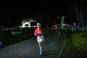 BIB: 
                            <button type="button" onclick="openModal(26171802)" class="btn btn-primary btn-sm float-right btn-popup" data-toggle="modal" data-target=".modal-high-quality">
                        <i class="fas fa-shopping-cart"></i> Add to Cart
                    </button>
                                            <button type="button" onclick="isThisMe(26171802, true)" class="btn btn-success btn-sm float-right btn-popup btn-isme hidden" data-toggle="tooltip" data-placement="bottom" title="นี่คือรูปของคุณใช่ไหม คลิกที่นี่เพื่อเอาเข้าอัลบั้ม">
                        <i class="fas fa-plus"></i> Add to album
                    </button>
                    <button type="button" onclick="isThisMe(26171802, false)" class="btn btn-warning btn-sm float-right btn-popup btn-isnotme hidden">
                        <i class="fas fa-ban"></i> Remove from album
                    </button>