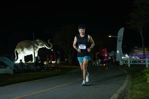 BIB: 
                            <button type="button" onclick="openModal(26172147)" class="btn btn-primary btn-sm float-right btn-popup" data-toggle="modal" data-target=".modal-high-quality">
                        <i class="fas fa-shopping-cart"></i> Add to Cart
                    </button>
                                            <button type="button" onclick="isThisMe(26172147, true)" class="btn btn-success btn-sm float-right btn-popup btn-isme hidden" data-toggle="tooltip" data-placement="bottom" title="นี่คือรูปของคุณใช่ไหม คลิกที่นี่เพื่อเอาเข้าอัลบั้ม">
                        <i class="fas fa-plus"></i> Add to album
                    </button>
                    <button type="button" onclick="isThisMe(26172147, false)" class="btn btn-warning btn-sm float-right btn-popup btn-isnotme hidden">
                        <i class="fas fa-ban"></i> Remove from album
                    </button>