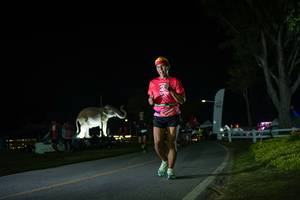 BIB: 
                            <button type="button" onclick="openModal(26171867)" class="btn btn-primary btn-sm float-right btn-popup" data-toggle="modal" data-target=".modal-high-quality">
                        <i class="fas fa-shopping-cart"></i> Add to Cart
                    </button>
                                            <button type="button" onclick="isThisMe(26171867, true)" class="btn btn-success btn-sm float-right btn-popup btn-isme hidden" data-toggle="tooltip" data-placement="bottom" title="นี่คือรูปของคุณใช่ไหม คลิกที่นี่เพื่อเอาเข้าอัลบั้ม">
                        <i class="fas fa-plus"></i> Add to album
                    </button>
                    <button type="button" onclick="isThisMe(26171867, false)" class="btn btn-warning btn-sm float-right btn-popup btn-isnotme hidden">
                        <i class="fas fa-ban"></i> Remove from album
                    </button>