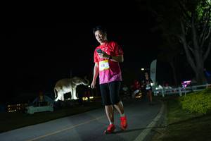 BIB: 
                            <button type="button" onclick="openModal(26172040)" class="btn btn-primary btn-sm float-right btn-popup" data-toggle="modal" data-target=".modal-high-quality">
                        <i class="fas fa-shopping-cart"></i> Add to Cart
                    </button>
                                            <button type="button" onclick="isThisMe(26172040, true)" class="btn btn-success btn-sm float-right btn-popup btn-isme hidden" data-toggle="tooltip" data-placement="bottom" title="นี่คือรูปของคุณใช่ไหม คลิกที่นี่เพื่อเอาเข้าอัลบั้ม">
                        <i class="fas fa-plus"></i> Add to album
                    </button>
                    <button type="button" onclick="isThisMe(26172040, false)" class="btn btn-warning btn-sm float-right btn-popup btn-isnotme hidden">
                        <i class="fas fa-ban"></i> Remove from album
                    </button>