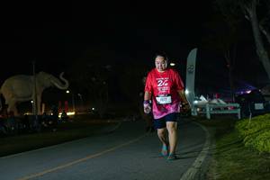 BIB: 
                            <button type="button" onclick="openModal(26172657)" class="btn btn-primary btn-sm float-right btn-popup" data-toggle="modal" data-target=".modal-high-quality">
                        <i class="fas fa-shopping-cart"></i> Add to Cart
                    </button>
                                            <button type="button" onclick="isThisMe(26172657, true)" class="btn btn-success btn-sm float-right btn-popup btn-isme hidden" data-toggle="tooltip" data-placement="bottom" title="นี่คือรูปของคุณใช่ไหม คลิกที่นี่เพื่อเอาเข้าอัลบั้ม">
                        <i class="fas fa-plus"></i> Add to album
                    </button>
                    <button type="button" onclick="isThisMe(26172657, false)" class="btn btn-warning btn-sm float-right btn-popup btn-isnotme hidden">
                        <i class="fas fa-ban"></i> Remove from album
                    </button>