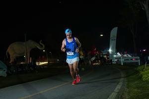 BIB: 
                            <button type="button" onclick="openModal(26172682)" class="btn btn-primary btn-sm float-right btn-popup" data-toggle="modal" data-target=".modal-high-quality">
                        <i class="fas fa-shopping-cart"></i> Add to Cart
                    </button>
                                            <button type="button" onclick="isThisMe(26172682, true)" class="btn btn-success btn-sm float-right btn-popup btn-isme hidden" data-toggle="tooltip" data-placement="bottom" title="นี่คือรูปของคุณใช่ไหม คลิกที่นี่เพื่อเอาเข้าอัลบั้ม">
                        <i class="fas fa-plus"></i> Add to album
                    </button>
                    <button type="button" onclick="isThisMe(26172682, false)" class="btn btn-warning btn-sm float-right btn-popup btn-isnotme hidden">
                        <i class="fas fa-ban"></i> Remove from album
                    </button>