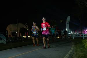 BIB: 
                            <button type="button" onclick="openModal(26172458)" class="btn btn-primary btn-sm float-right btn-popup" data-toggle="modal" data-target=".modal-high-quality">
                        <i class="fas fa-shopping-cart"></i> Add to Cart
                    </button>
                                            <button type="button" onclick="isThisMe(26172458, true)" class="btn btn-success btn-sm float-right btn-popup btn-isme hidden" data-toggle="tooltip" data-placement="bottom" title="นี่คือรูปของคุณใช่ไหม คลิกที่นี่เพื่อเอาเข้าอัลบั้ม">
                        <i class="fas fa-plus"></i> Add to album
                    </button>
                    <button type="button" onclick="isThisMe(26172458, false)" class="btn btn-warning btn-sm float-right btn-popup btn-isnotme hidden">
                        <i class="fas fa-ban"></i> Remove from album
                    </button>