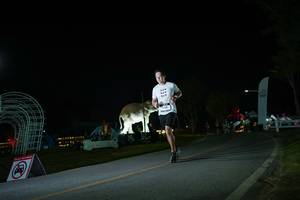 BIB: 
                            <button type="button" onclick="openModal(26171916)" class="btn btn-primary btn-sm float-right btn-popup" data-toggle="modal" data-target=".modal-high-quality">
                        <i class="fas fa-shopping-cart"></i> Add to Cart
                    </button>
                                            <button type="button" onclick="isThisMe(26171916, true)" class="btn btn-success btn-sm float-right btn-popup btn-isme hidden" data-toggle="tooltip" data-placement="bottom" title="นี่คือรูปของคุณใช่ไหม คลิกที่นี่เพื่อเอาเข้าอัลบั้ม">
                        <i class="fas fa-plus"></i> Add to album
                    </button>
                    <button type="button" onclick="isThisMe(26171916, false)" class="btn btn-warning btn-sm float-right btn-popup btn-isnotme hidden">
                        <i class="fas fa-ban"></i> Remove from album
                    </button>