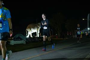 BIB: 
                            <button type="button" onclick="openModal(26172219)" class="btn btn-primary btn-sm float-right btn-popup" data-toggle="modal" data-target=".modal-high-quality">
                        <i class="fas fa-shopping-cart"></i> Add to Cart
                    </button>
                                            <button type="button" onclick="isThisMe(26172219, true)" class="btn btn-success btn-sm float-right btn-popup btn-isme hidden" data-toggle="tooltip" data-placement="bottom" title="นี่คือรูปของคุณใช่ไหม คลิกที่นี่เพื่อเอาเข้าอัลบั้ม">
                        <i class="fas fa-plus"></i> Add to album
                    </button>
                    <button type="button" onclick="isThisMe(26172219, false)" class="btn btn-warning btn-sm float-right btn-popup btn-isnotme hidden">
                        <i class="fas fa-ban"></i> Remove from album
                    </button>