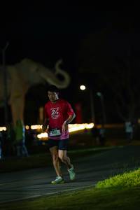 BIB: 
                            <button type="button" onclick="openModal(26173099)" class="btn btn-primary btn-sm float-right btn-popup" data-toggle="modal" data-target=".modal-high-quality">
                        <i class="fas fa-shopping-cart"></i> Add to Cart
                    </button>
                                            <button type="button" onclick="isThisMe(26173099, true)" class="btn btn-success btn-sm float-right btn-popup btn-isme hidden" data-toggle="tooltip" data-placement="bottom" title="นี่คือรูปของคุณใช่ไหม คลิกที่นี่เพื่อเอาเข้าอัลบั้ม">
                        <i class="fas fa-plus"></i> Add to album
                    </button>
                    <button type="button" onclick="isThisMe(26173099, false)" class="btn btn-warning btn-sm float-right btn-popup btn-isnotme hidden">
                        <i class="fas fa-ban"></i> Remove from album
                    </button>