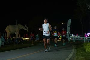 BIB: 
                            <button type="button" onclick="openModal(26172864)" class="btn btn-primary btn-sm float-right btn-popup" data-toggle="modal" data-target=".modal-high-quality">
                        <i class="fas fa-shopping-cart"></i> Add to Cart
                    </button>
                                            <button type="button" onclick="isThisMe(26172864, true)" class="btn btn-success btn-sm float-right btn-popup btn-isme hidden" data-toggle="tooltip" data-placement="bottom" title="นี่คือรูปของคุณใช่ไหม คลิกที่นี่เพื่อเอาเข้าอัลบั้ม">
                        <i class="fas fa-plus"></i> Add to album
                    </button>
                    <button type="button" onclick="isThisMe(26172864, false)" class="btn btn-warning btn-sm float-right btn-popup btn-isnotme hidden">
                        <i class="fas fa-ban"></i> Remove from album
                    </button>