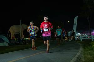 BIB: 
                            <button type="button" onclick="openModal(26172467)" class="btn btn-primary btn-sm float-right btn-popup" data-toggle="modal" data-target=".modal-high-quality">
                        <i class="fas fa-shopping-cart"></i> Add to Cart
                    </button>
                                            <button type="button" onclick="isThisMe(26172467, true)" class="btn btn-success btn-sm float-right btn-popup btn-isme hidden" data-toggle="tooltip" data-placement="bottom" title="นี่คือรูปของคุณใช่ไหม คลิกที่นี่เพื่อเอาเข้าอัลบั้ม">
                        <i class="fas fa-plus"></i> Add to album
                    </button>
                    <button type="button" onclick="isThisMe(26172467, false)" class="btn btn-warning btn-sm float-right btn-popup btn-isnotme hidden">
                        <i class="fas fa-ban"></i> Remove from album
                    </button>