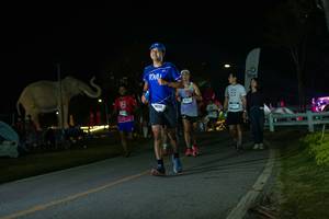 BIB: 
                            <button type="button" onclick="openModal(26172904)" class="btn btn-primary btn-sm float-right btn-popup" data-toggle="modal" data-target=".modal-high-quality">
                        <i class="fas fa-shopping-cart"></i> Add to Cart
                    </button>
                                            <button type="button" onclick="isThisMe(26172904, true)" class="btn btn-success btn-sm float-right btn-popup btn-isme hidden" data-toggle="tooltip" data-placement="bottom" title="นี่คือรูปของคุณใช่ไหม คลิกที่นี่เพื่อเอาเข้าอัลบั้ม">
                        <i class="fas fa-plus"></i> Add to album
                    </button>
                    <button type="button" onclick="isThisMe(26172904, false)" class="btn btn-warning btn-sm float-right btn-popup btn-isnotme hidden">
                        <i class="fas fa-ban"></i> Remove from album
                    </button>