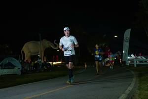 BIB: 
                            <button type="button" onclick="openModal(26172956)" class="btn btn-primary btn-sm float-right btn-popup" data-toggle="modal" data-target=".modal-high-quality">
                        <i class="fas fa-shopping-cart"></i> Add to Cart
                    </button>
                                            <button type="button" onclick="isThisMe(26172956, true)" class="btn btn-success btn-sm float-right btn-popup btn-isme hidden" data-toggle="tooltip" data-placement="bottom" title="นี่คือรูปของคุณใช่ไหม คลิกที่นี่เพื่อเอาเข้าอัลบั้ม">
                        <i class="fas fa-plus"></i> Add to album
                    </button>
                    <button type="button" onclick="isThisMe(26172956, false)" class="btn btn-warning btn-sm float-right btn-popup btn-isnotme hidden">
                        <i class="fas fa-ban"></i> Remove from album
                    </button>