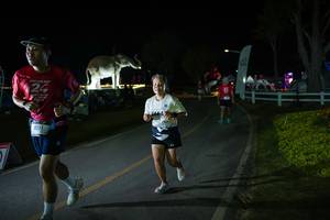 BIB: 
                            <button type="button" onclick="openModal(26171792)" class="btn btn-primary btn-sm float-right btn-popup" data-toggle="modal" data-target=".modal-high-quality">
                        <i class="fas fa-shopping-cart"></i> Add to Cart
                    </button>
                                            <button type="button" onclick="isThisMe(26171792, true)" class="btn btn-success btn-sm float-right btn-popup btn-isme hidden" data-toggle="tooltip" data-placement="bottom" title="นี่คือรูปของคุณใช่ไหม คลิกที่นี่เพื่อเอาเข้าอัลบั้ม">
                        <i class="fas fa-plus"></i> Add to album
                    </button>
                    <button type="button" onclick="isThisMe(26171792, false)" class="btn btn-warning btn-sm float-right btn-popup btn-isnotme hidden">
                        <i class="fas fa-ban"></i> Remove from album
                    </button>