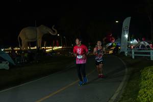 BIB: 
                            <button type="button" onclick="openModal(26173034)" class="btn btn-primary btn-sm float-right btn-popup" data-toggle="modal" data-target=".modal-high-quality">
                        <i class="fas fa-shopping-cart"></i> Add to Cart
                    </button>
                                            <button type="button" onclick="isThisMe(26173034, true)" class="btn btn-success btn-sm float-right btn-popup btn-isme hidden" data-toggle="tooltip" data-placement="bottom" title="นี่คือรูปของคุณใช่ไหม คลิกที่นี่เพื่อเอาเข้าอัลบั้ม">
                        <i class="fas fa-plus"></i> Add to album
                    </button>
                    <button type="button" onclick="isThisMe(26173034, false)" class="btn btn-warning btn-sm float-right btn-popup btn-isnotme hidden">
                        <i class="fas fa-ban"></i> Remove from album
                    </button>